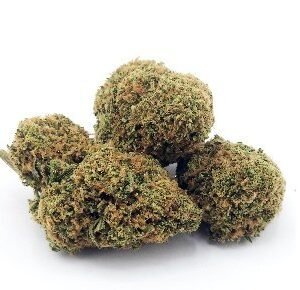 Lemon Zkittlez Marijuana