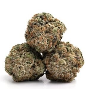 Bubblegum Gelato Strain UK