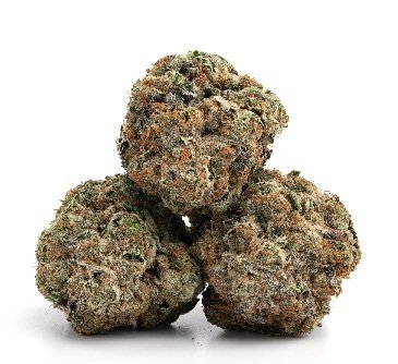 Bubblegum Gelato Strain UK