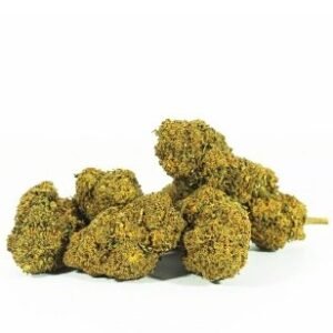 Mango Haze Cannabis
