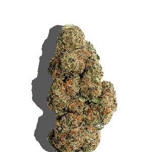 Apple Mintz Strain UK