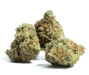 Black Cherry Gelato Strain UK