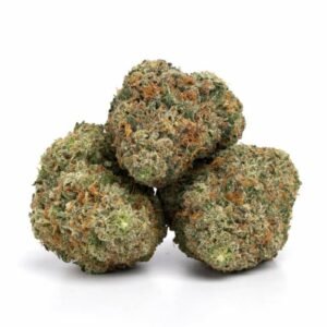 Citrus Haze Marijuana UK