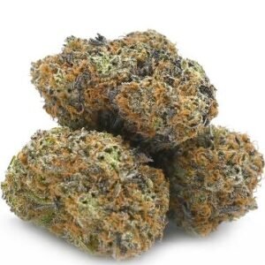 French Toast Weed UK