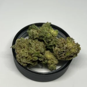 Glue Gelato Marijuana UK