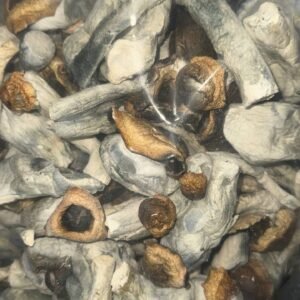 ENOKI DRIED MUSHROOM