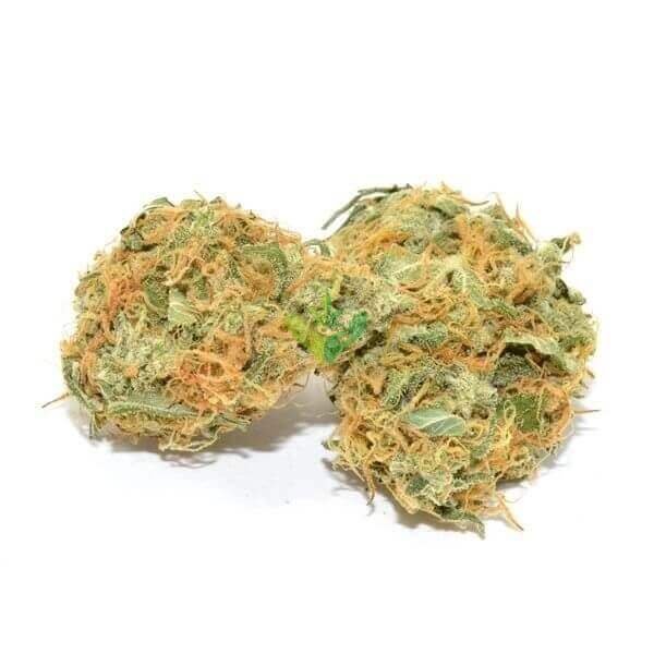 Jack Herer Weed