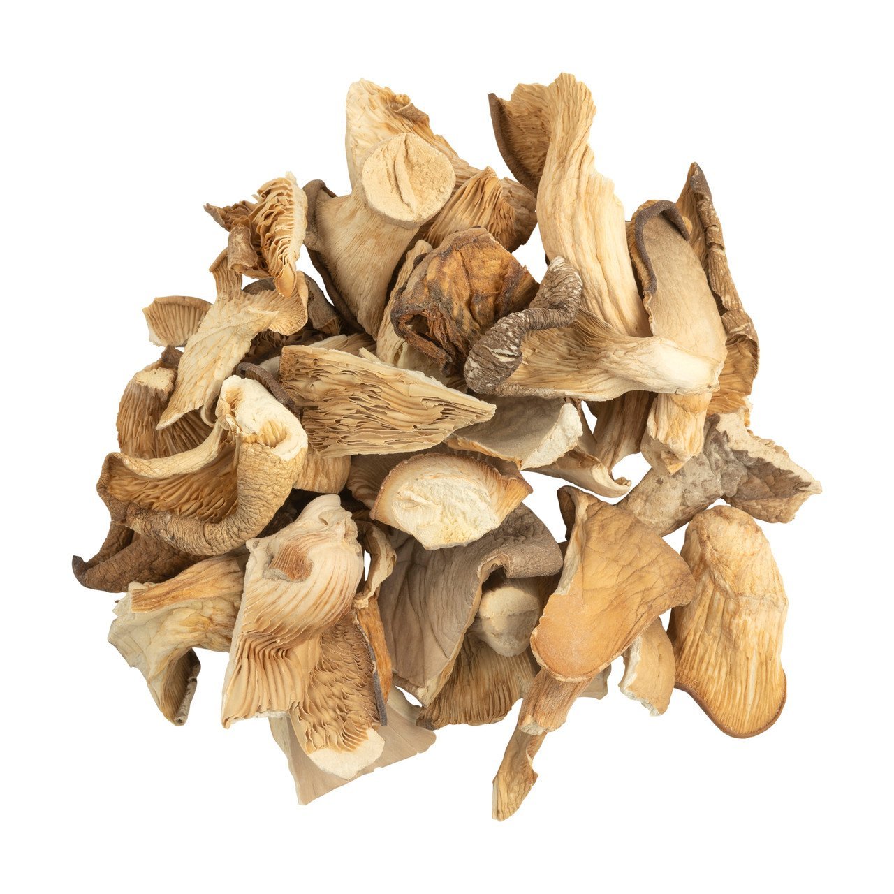 OYSTER DRIED MUSHROOM