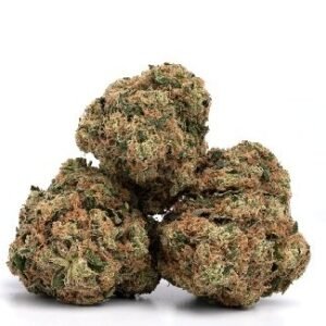 Moby Dick Weed