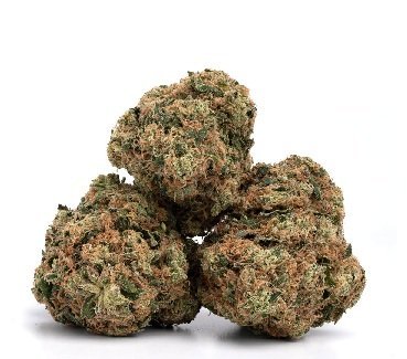 Moby Dick Weed