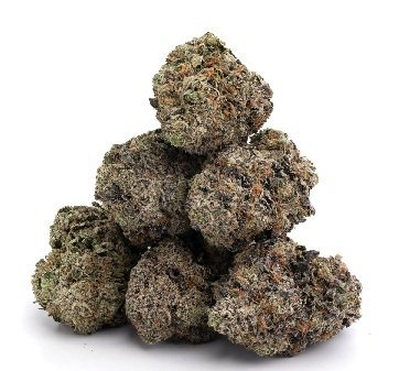 Trainwreck Weed Strain