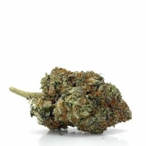 Stardawg Cannabis strain UK