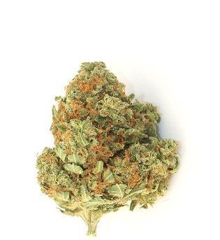 Watermelon Z Weed UK