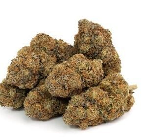 Blueberry Cookies Weed UK