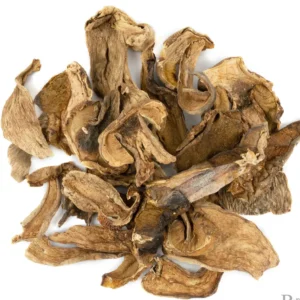 PORCINI DRIED MUSHROOM